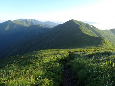 P7240851 - コピー.JPG