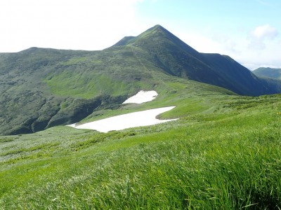 P7240889 - コピー.JPG