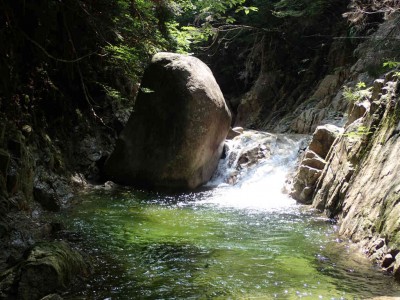 P7300018.jpg (96.54 KiB) 閲覧された回数 3108 回 エメラルドリーンの水