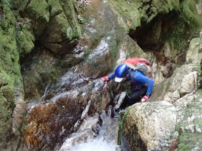 P7300037.jpg (99.6 KiB) 閲覧された回数 3107 回 滝を登る