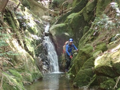 P7300049.jpg (87.53 KiB) 閲覧された回数 3109 回 元越谷出会い付近