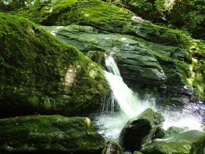 P8050028.jpg (98.01 KiB) 閲覧された回数 1684 回 岩間滝