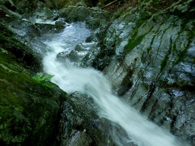 三峰ワサビ谷の滑り台