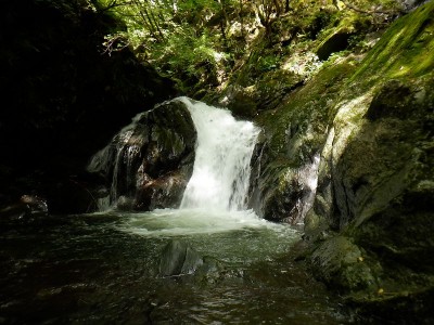 この左岸に足がかりが見えない。