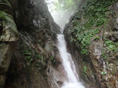 P8100009.jpg (56.35 KiB) 閲覧された回数 3516 回 10mトイ状斜滝