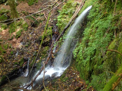 P8260082.jpg (137.18 KiB) 閲覧された回数 4354 回 口わさび谷の滝