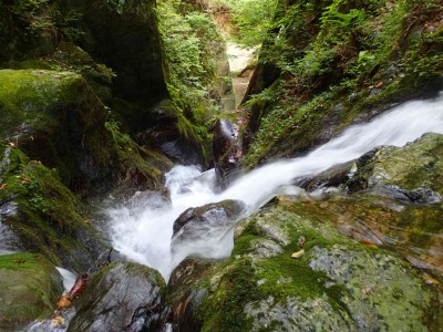 P8260085.jpg (107.41 KiB) 閲覧された回数 4358 回 木屋谷川出会い付近