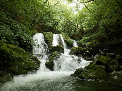 木屋谷三筋の滝