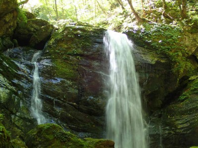 P8290087.jpg (91.64 KiB) 閲覧された回数 4315 回 12m大滝