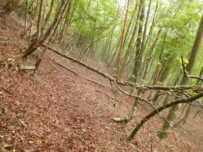 ノコギリ作業前