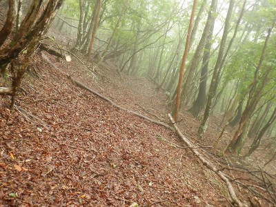 ノコギリ作業後