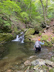グーさん水に入る