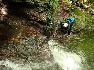 がんばれわたし