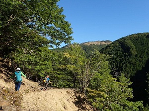 さわやかな天気だけどヨタヨタ