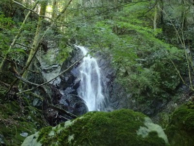 P9100035.JPG (3.61 MiB) 閲覧された回数 3609 回 8m滝