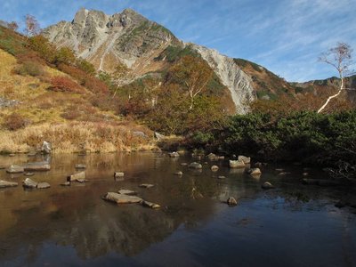 池が凍って影が映りまへん