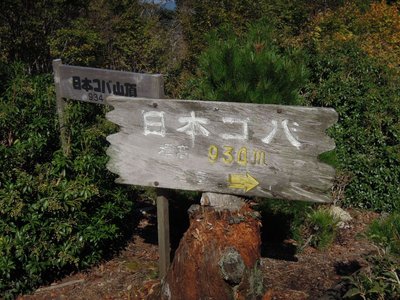 日本コバ.JPG (207.96 KiB) 閲覧された回数 5925 回 立派な看板