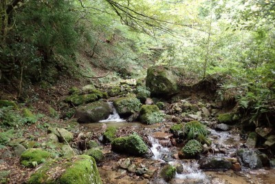 じじむさい渓相