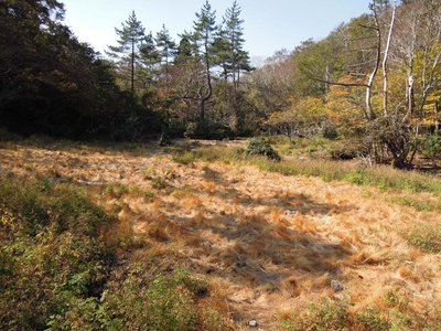 芝平.JPG (167.2 KiB) 閲覧された回数 5935 回 芝の平地