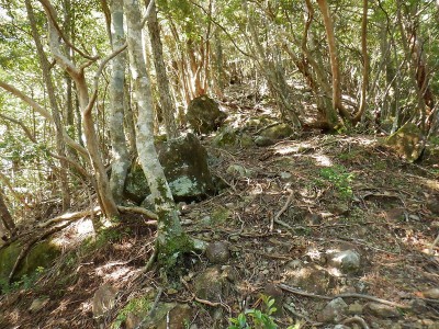 小木森滝の上の尾根