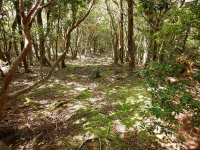 ・1153北西の尾根