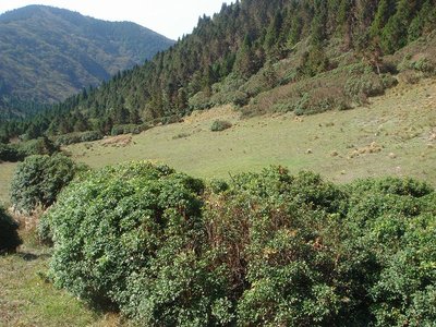 小太郎谷源頭部