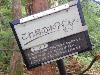 なかなか難問多し。これの答えは・・忘れてしまった