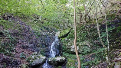 奥ワサビ谷２ - コピー.jpg