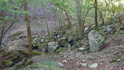 口ワサビの橋 - コピー.jpg