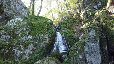 口ワサビ谷１ - コピー.jpg