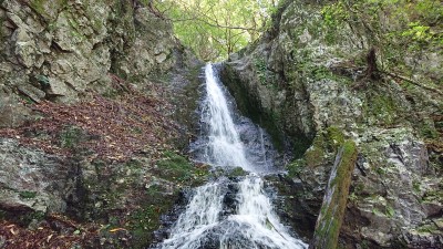 口ワサビ谷２ - コピー.jpg