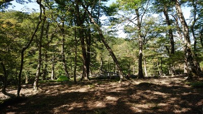 奥ワサビ源流３ - コピー.jpg