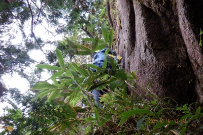 DSCF0047@.JPG (1.08 MiB) 閲覧された回数 2828 回 救助隊