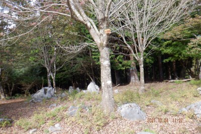 DSCF0022@.JPG (1.09 MiB) 閲覧された回数 2823 回 大見晴