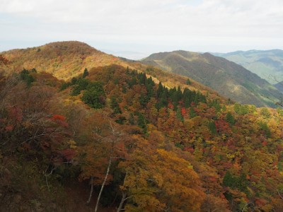 錦秋の稜線.JPG