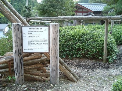 政所の茶の原木