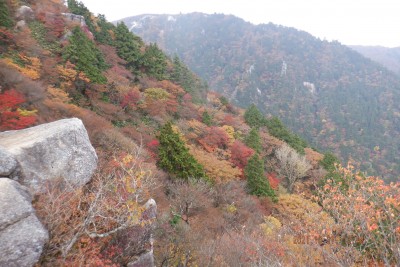 富士見尾根の岩場
