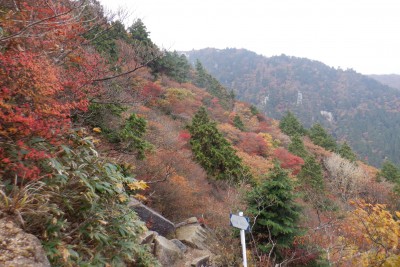 DSCF0078.JPG (1.64 MiB) 閲覧された回数 3197 回 8号目