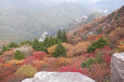 DSCF0080.JPG (1.58 MiB) 閲覧された回数 3198 回 岩場のテラス