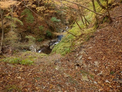 20211103-22.jpg (218.34 KiB) 閲覧された回数 5687 回 今まで通っていた谷中の倒木を見下ろす。