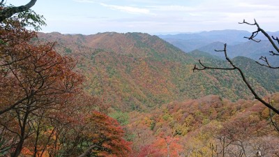 16364604424300 - コピー.jpg