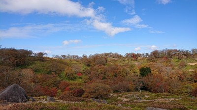 16363934354551 - コピー.jpg