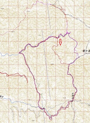 211106竜.jpg (933.8 KiB) 閲覧された回数 2653 回 赤→が山抜け