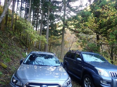 遠いところからほぼ同時につくということは・・・ワタシたちの寝坊かな