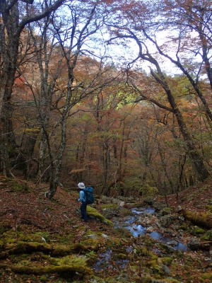 源流左俣。ワタシはこの谷のたおやかさが好きです。空の広さと。
