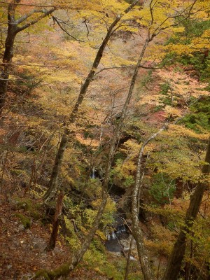 赤嵓滝の上の２つの小滝