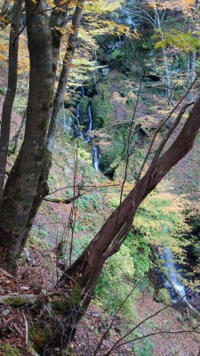 奥ワサビ谷の連瀑帯