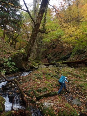 谷の紅葉.jpg (277.45 KiB) 閲覧された回数 6109 回 タイミング的にはばっちりかなと