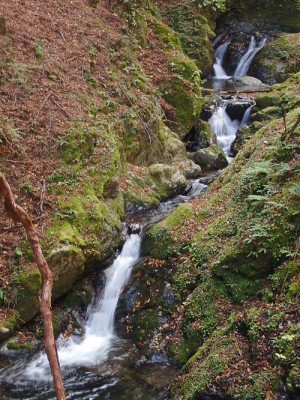 滝.jpg (263.63 KiB) 閲覧された回数 6114 回 シューさんまねてスローシャッタートライ(もう少し勉強します)