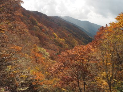 南東に辿ってきた稜線を眺めて